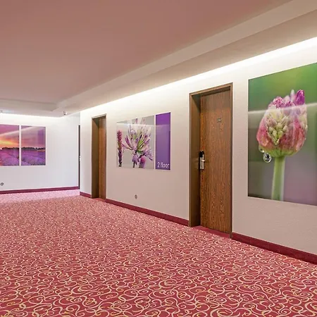 Hotel Aigner 3*