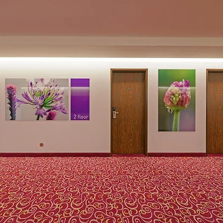 Hotel Aigner